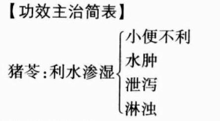 猪苓的功效与作用