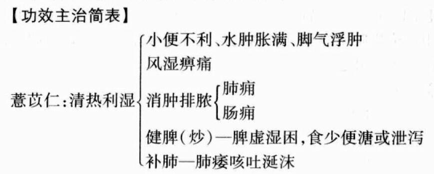 薏苡仁（薏米）的功效与作用