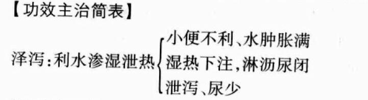 泽泻的功效与作用