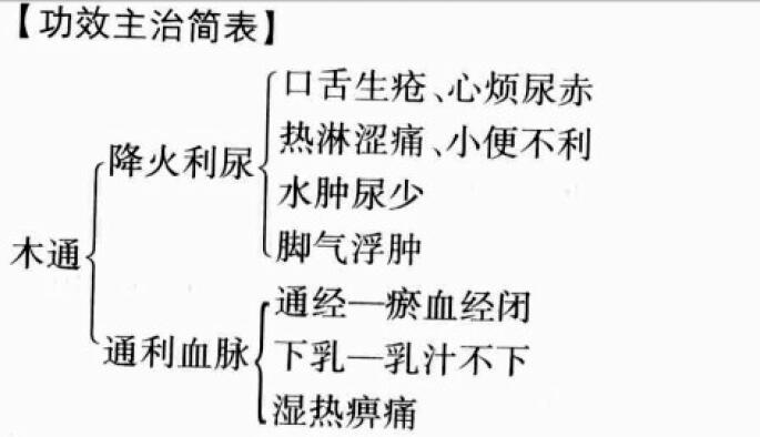 木通的功效与作用