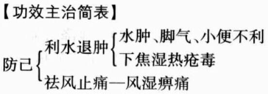 防己的功效与作用