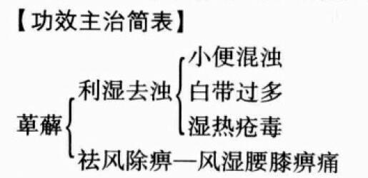 萆薢的功效与作用