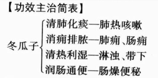 冬瓜子的功效与作用