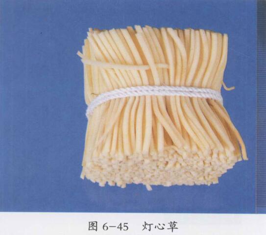 灯心草