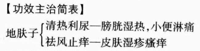 地肤子的功效与作用