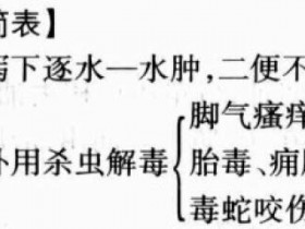 乌桕根皮的功效与作用及禁忌