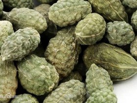 野西瓜的功效与作用