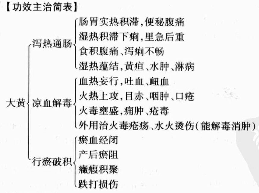 大黄的功效与作用