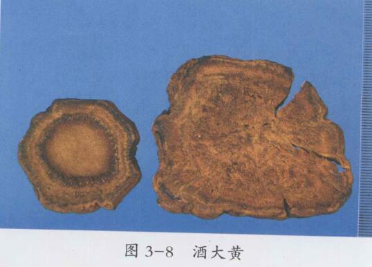 酒大黄