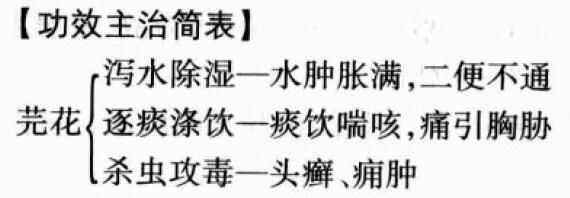 芫花的功效与作用