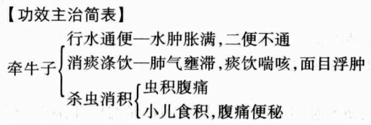 牵牛子的功效与作用