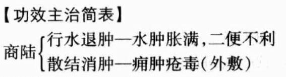 商陆的功效与作用