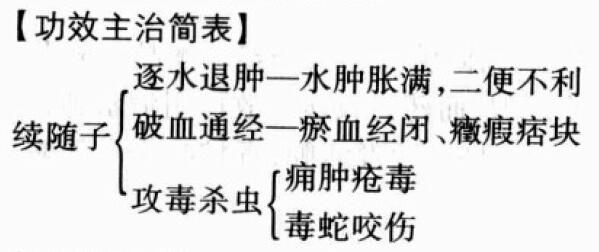 千金子的功效与作用