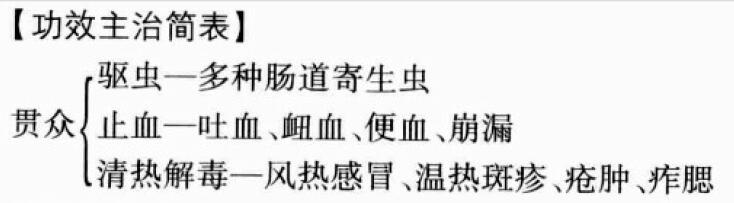 贯众的功效与作用