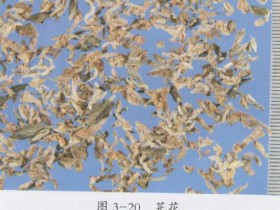 芫花的功效与作用及禁忌,中药芫花图片