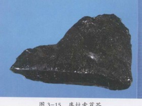 芦荟的功效与作用及禁忌,中药芦荟图片