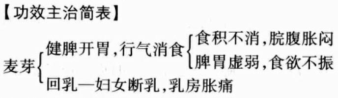 麦芽的功效与作用