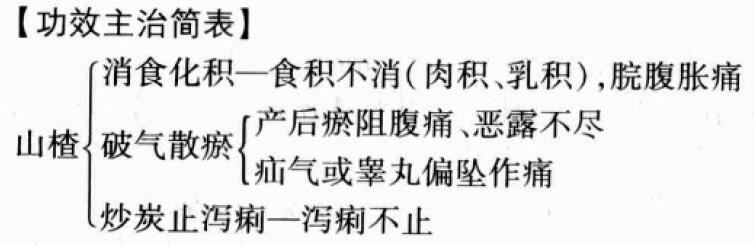 山楂的功效与作用