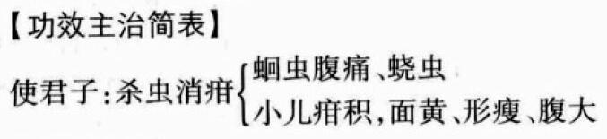 使君子的功效与作用