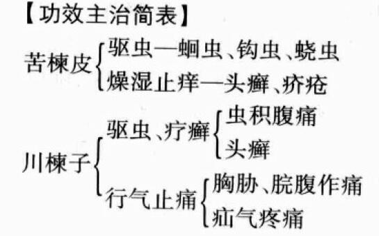 川楝子的功效与作用