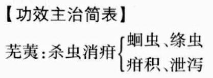 芜荑的功效与作用