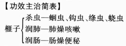 榧子的功效与作用