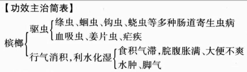 槟榔的功效与作用