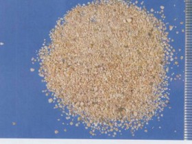 雷丸的功效与作用及禁忌,中药雷丸图片