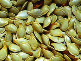 南瓜子的功效与作用,中药南瓜子图片
