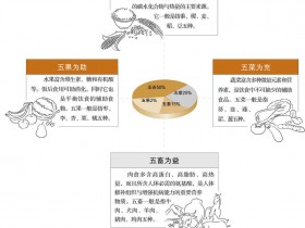 饮食养生的基本原则与不同体质的饮食要求