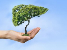 水飞蓟和这些方法，冬季护肝好选择