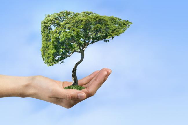 摄图网_300487491_绿色星球紧紧握住绿树的（非企业商用） (1)