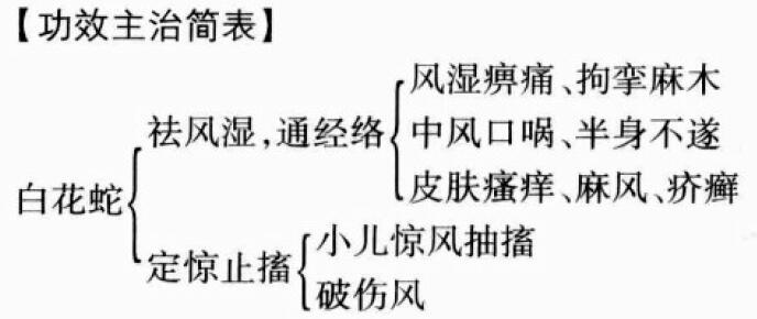 白花蛇的功效与作用