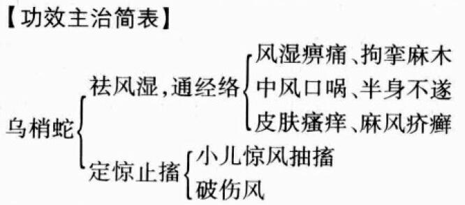 乌梢蛇的功效与作用