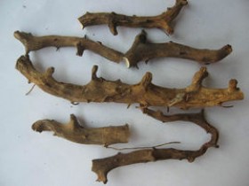 穿山龙的功效与作用,中药穿山龙图片