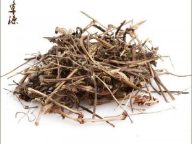 老鹳草的功效与作用,中药老鹳草图片