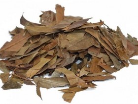 石楠叶的功效与作用,中药石楠叶图片