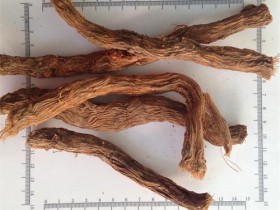 千年健的功效与作用及禁忌,中药千年健图片