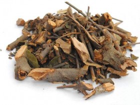 桑寄生的功效与作用,中药桑寄生图片