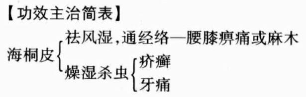 海桐皮的功效与作用