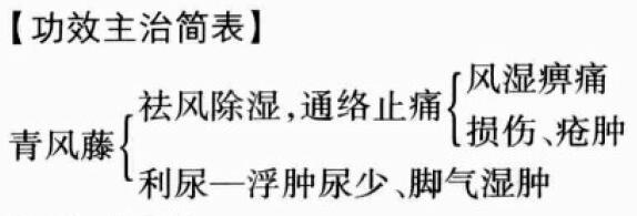 青风藤的作用与功效