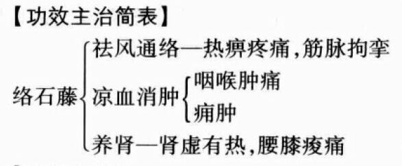 络石藤的功效与作用