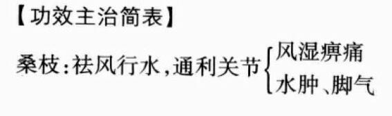 桑枝的功效与作用