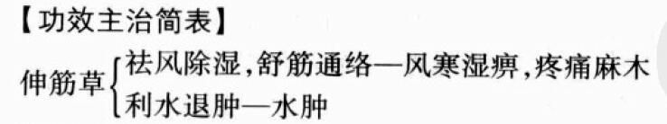 伸筋草的功效与作用