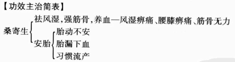 桑寄生的功效与作用