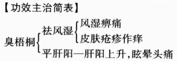 臭梧桐的功效与作用