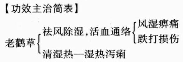 老鹳草的功效与作用