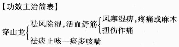 穿山龙的功效与作用