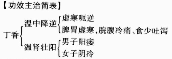 丁香的功效与作用