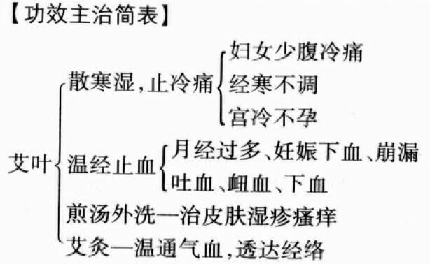 艾叶的功效与作用